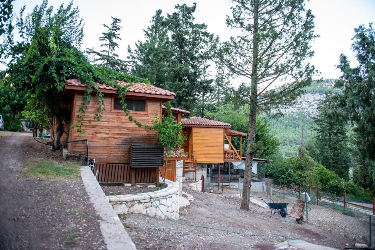 Trinitys Forest Bungalows Kemer Exterior foto