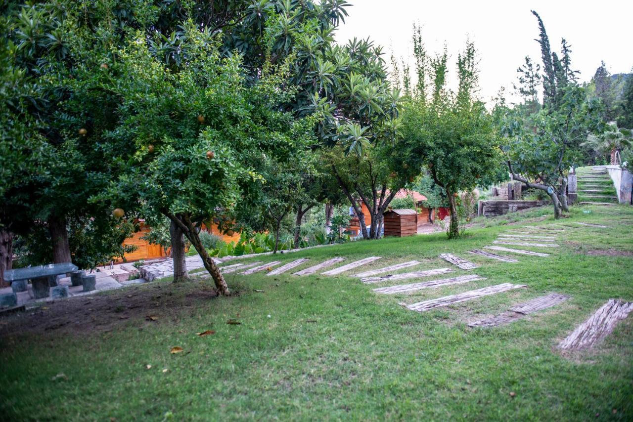 Trinitys Forest Bungalows Kemer Exterior foto