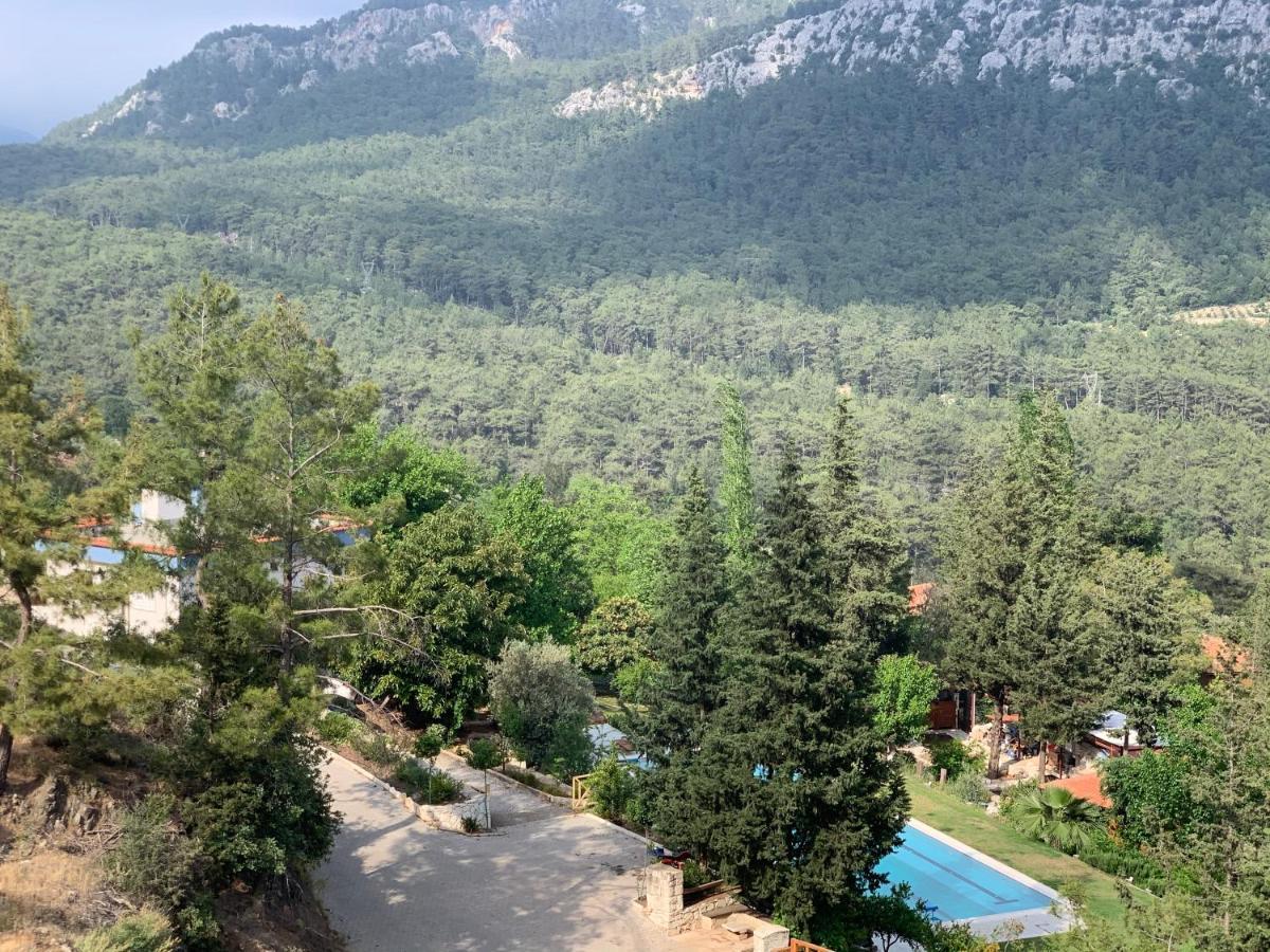Trinitys Forest Bungalows Kemer Exterior foto
