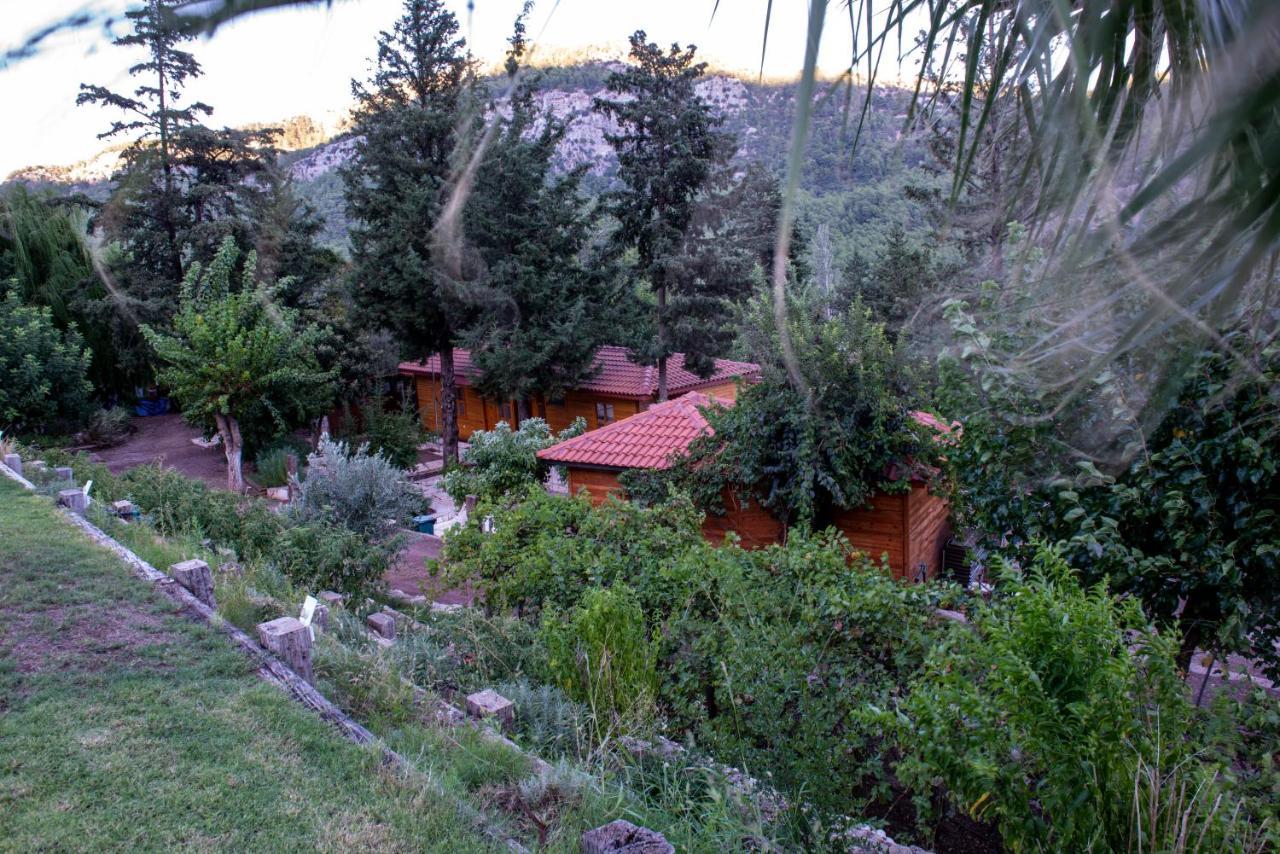 Trinitys Forest Bungalows Kemer Exterior foto