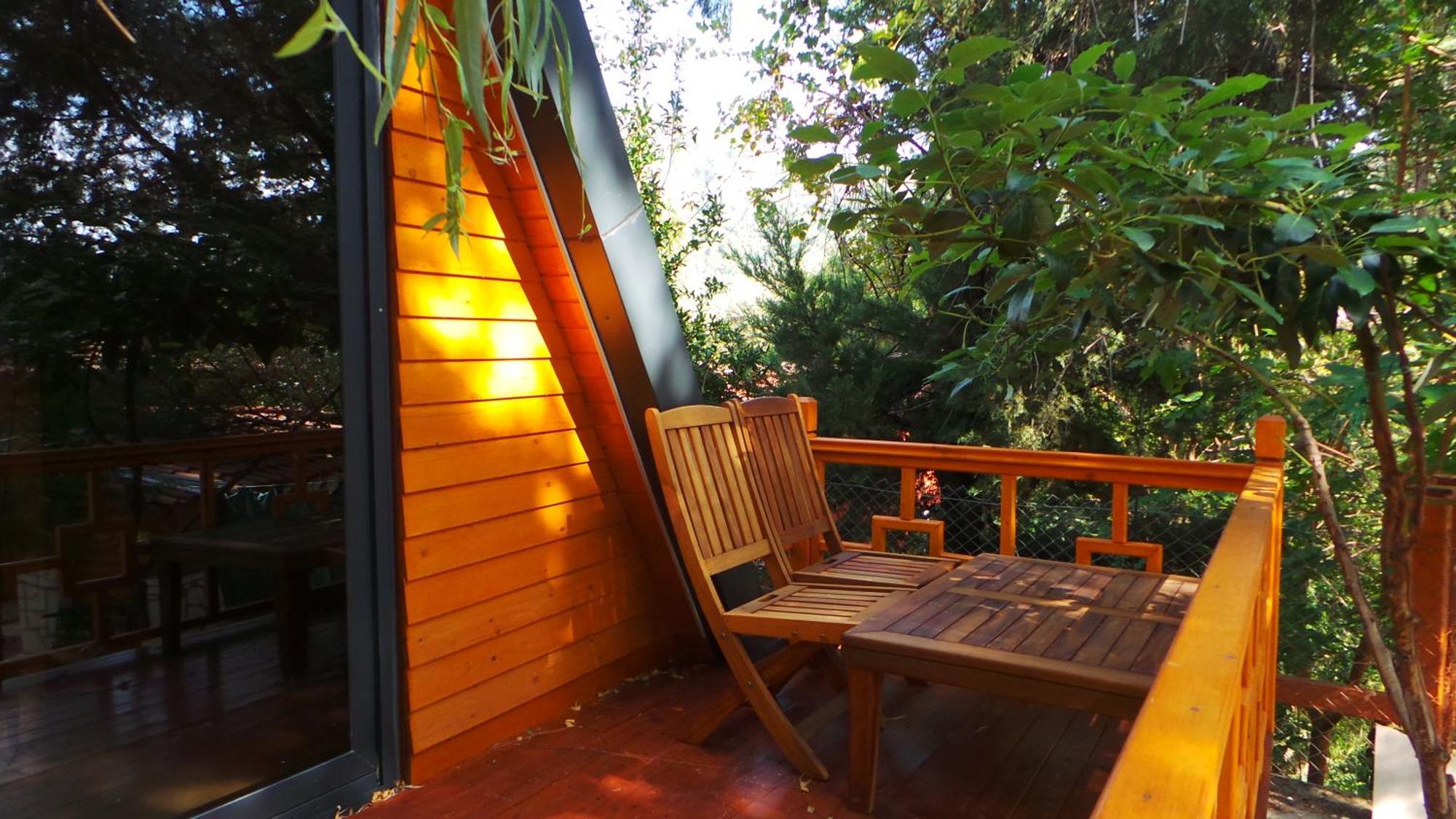 Trinitys Forest Bungalows Kemer Exterior foto